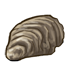 Closed Oyster.png